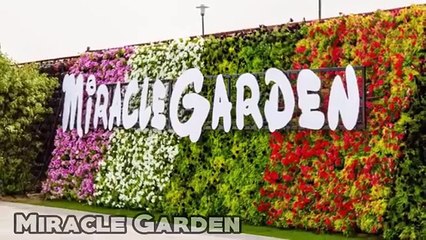 Dubai  10 Must Visit Places