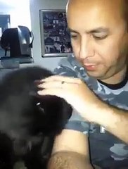 You stroke my face, I stroke yours - So cute cat