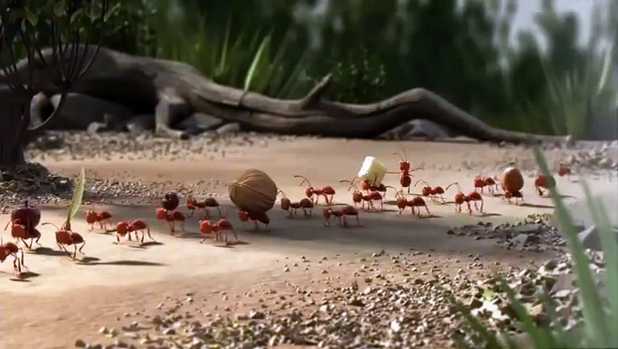 Banned Bus commercial 2013