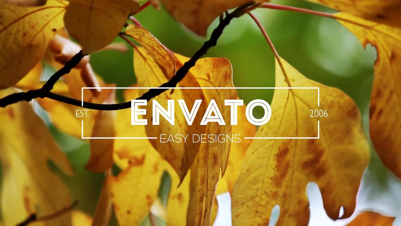 Vintage Lower Thirds Pack - After Effects Project Files | VideoHive 8102707