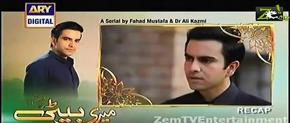 MERI BETI EPISODE 18 FULL | Samina Peerzada Drama Meri Beti | 5 February 2014