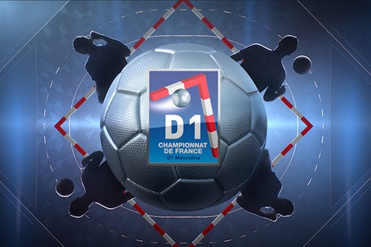 Chartres/Saint-Raphaël: Le résumé LNH