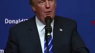 Extremely Funny Donald Trump Vine