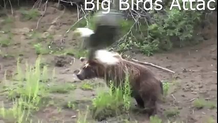 Most unbeliveable seen in the world