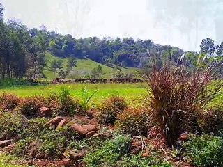 Complejo Turístico Sierras del Chapa