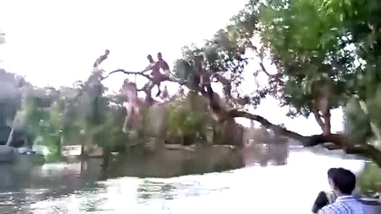 [ Funny Moment ] Funny Videos Funny Pranks Against Stupid Funny Fails 2015 P62
