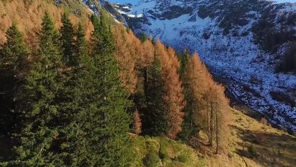 Voici Pourquoi les Drones ne devraient pas Voler près des Aigles