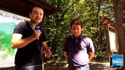 Grand Air Bois de St Pierre 161115-221115