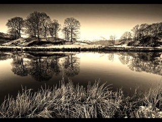 Kashmir Martyrs Poetry by Dr Faraz