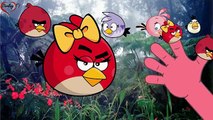 Angry birds  Finger Family  Nursery Rhymes _ 2D Animation In HD From Darling TV Channel , Animated cartoon watch online free 2016