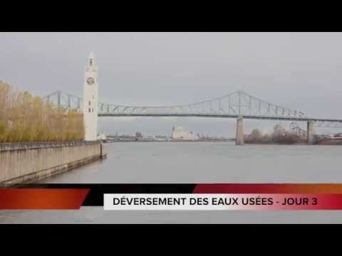 Pierre Brassard en direct des rives du fleuve