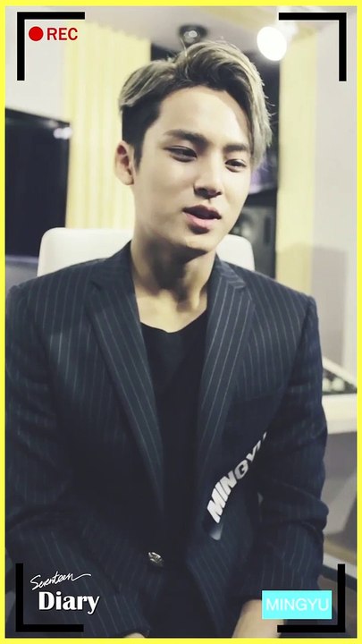 mingyu diary