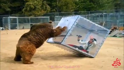 دب غاضب يهاجم فتاة داخل قفص -