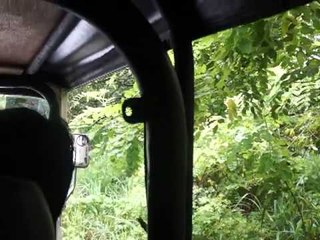 4x4 Adventure in Zoocobia