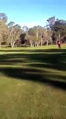 Kangaroo Chases Golfers, awesome animal video.