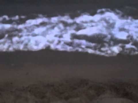 Nestea Beach 2013 at the Acua Verde Beach Resort in Laiya, Batangas Part 10