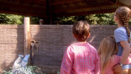 What We Did on Our Holiday Official US Release Trailer (2015) - Rosamund Pike Family Comedy HD