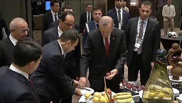 Recep Tayyip Erdogan - Vladimir Putin meeting in Antalya