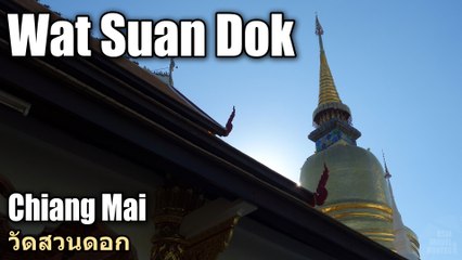 Wat Suandok Chiang Mai