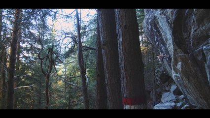 Jain Kim dans ses oeuvres