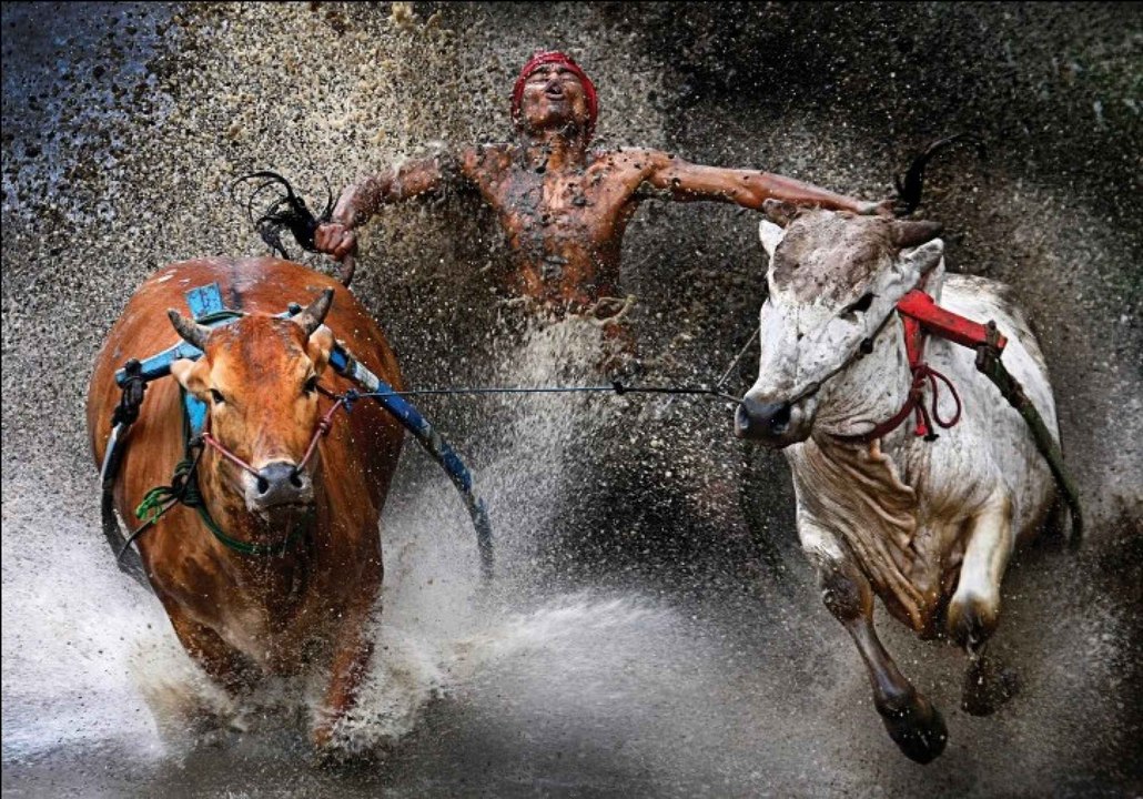 20 Greatest Photographs | Extraordinary Photography