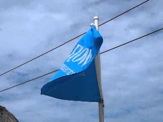 Flow Surf Yoga Samba flag