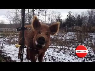 창원풀싸롱^바디천사^인천오피