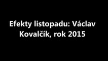 Efekty listopadu: Václav Kovalčík, rok 2015