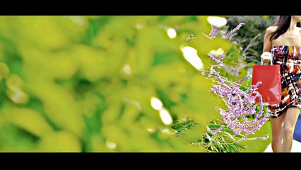 Sham Idrees - London 2 Paris