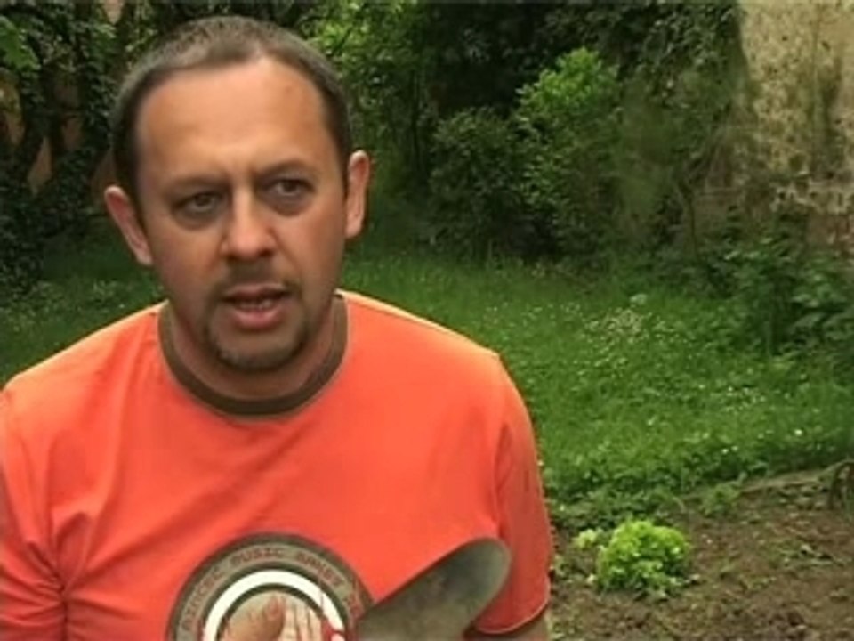 Potager