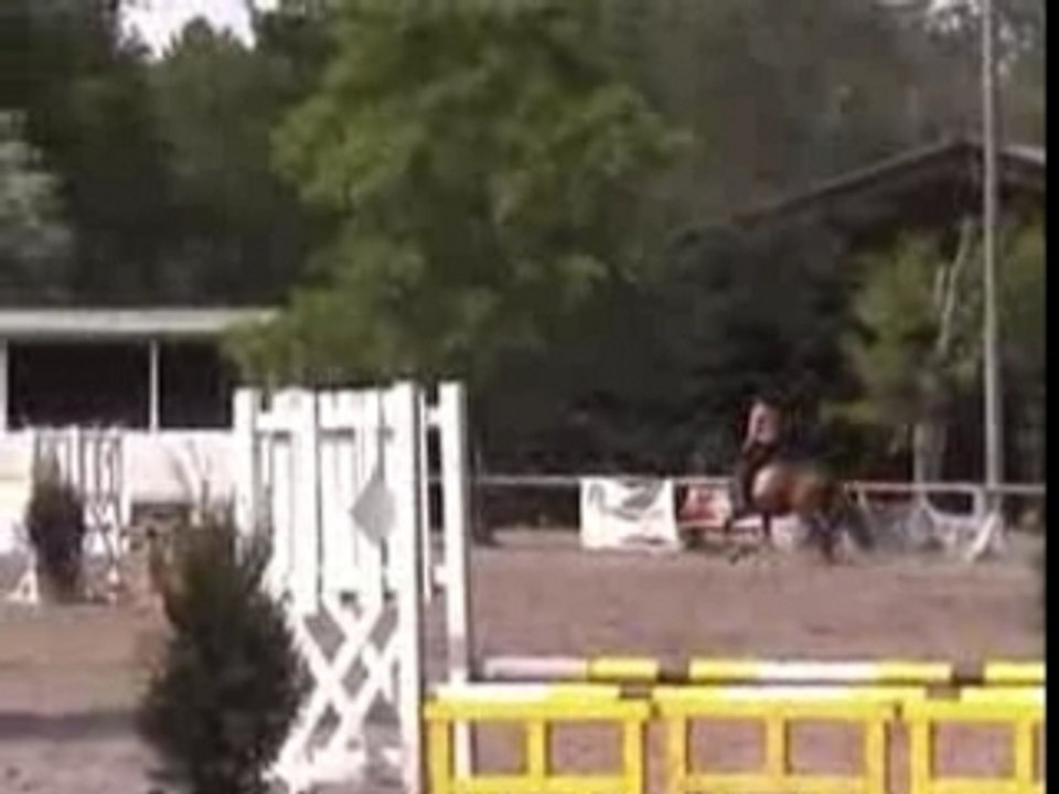 concours cso à poney