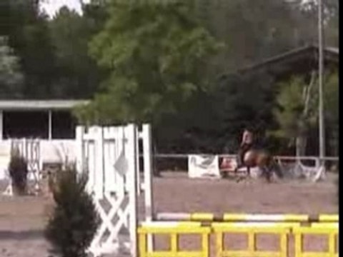 concours cso à poney