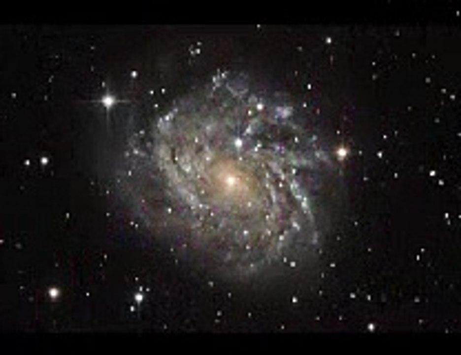 funny video untrusted by sanny leon