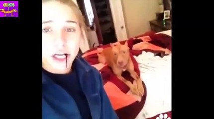 Kids At The Zoo: Compilation