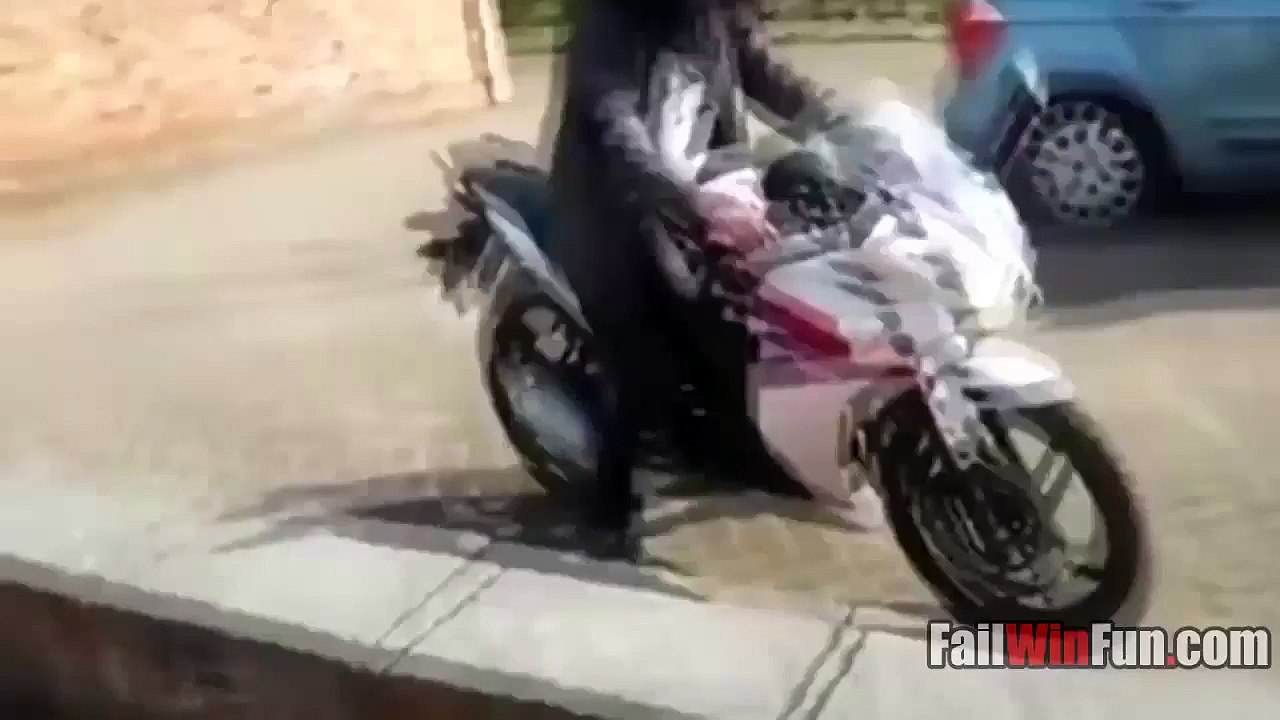 Funny Videos 2015 - Funny Fails - Funny Cat Vid...