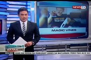 BP: Magic vines ng isang estudyante, virales sa internet