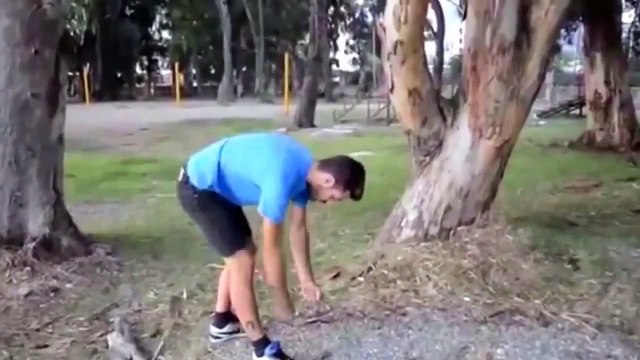 Funny videos compilation 2015. Funny pranks videos, people falling, funny animal. Funny cats video