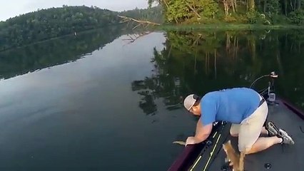 Catching Cats While Catfishing