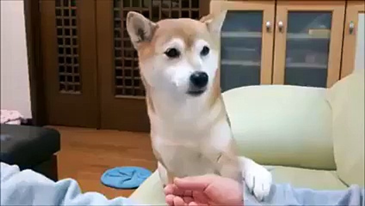 Ok... You Win... What You Want