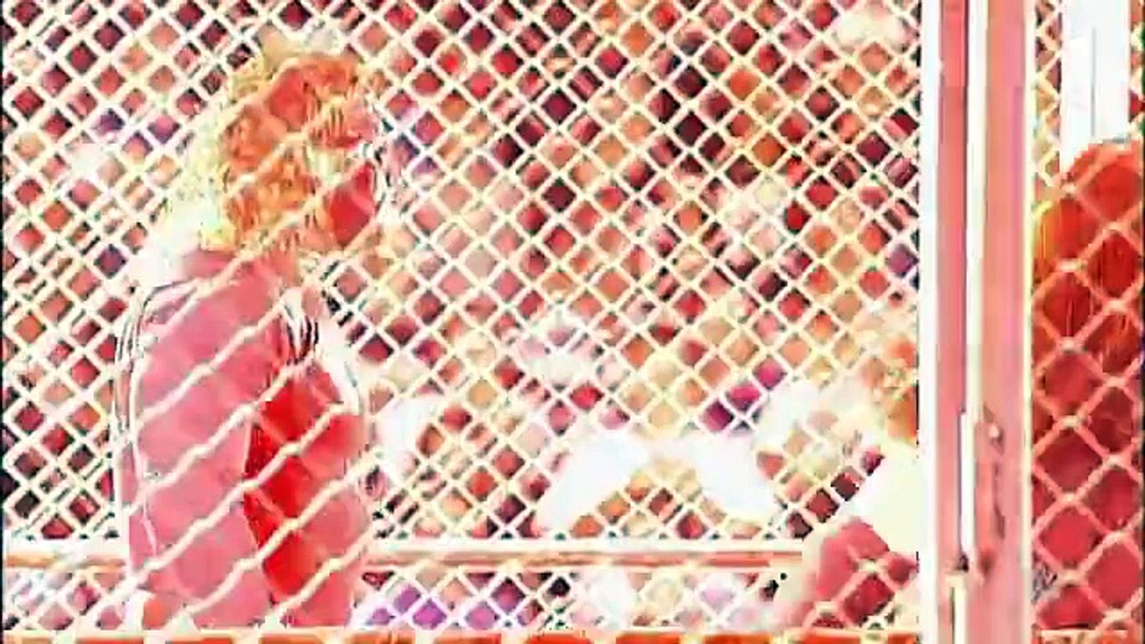 25 Numbers That Define The Undertaker