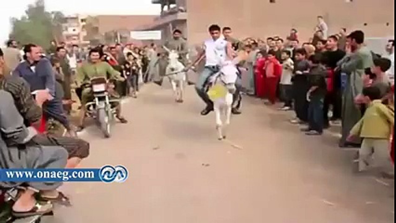 DHOOM DHOOM = Donkey Race