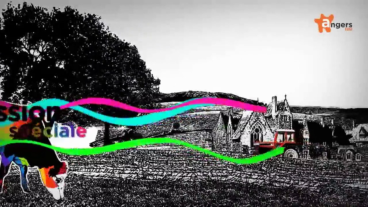 BOWLING PROMOTION CUP - Bowling Promotion Cup 2015 : Finales