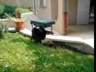 Ailllleuh... Slap se fait marcher dessus