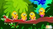 Five Little Ducks | 5 Little Ducks | Nursery Rhymes | Fun Rhymes for Kids