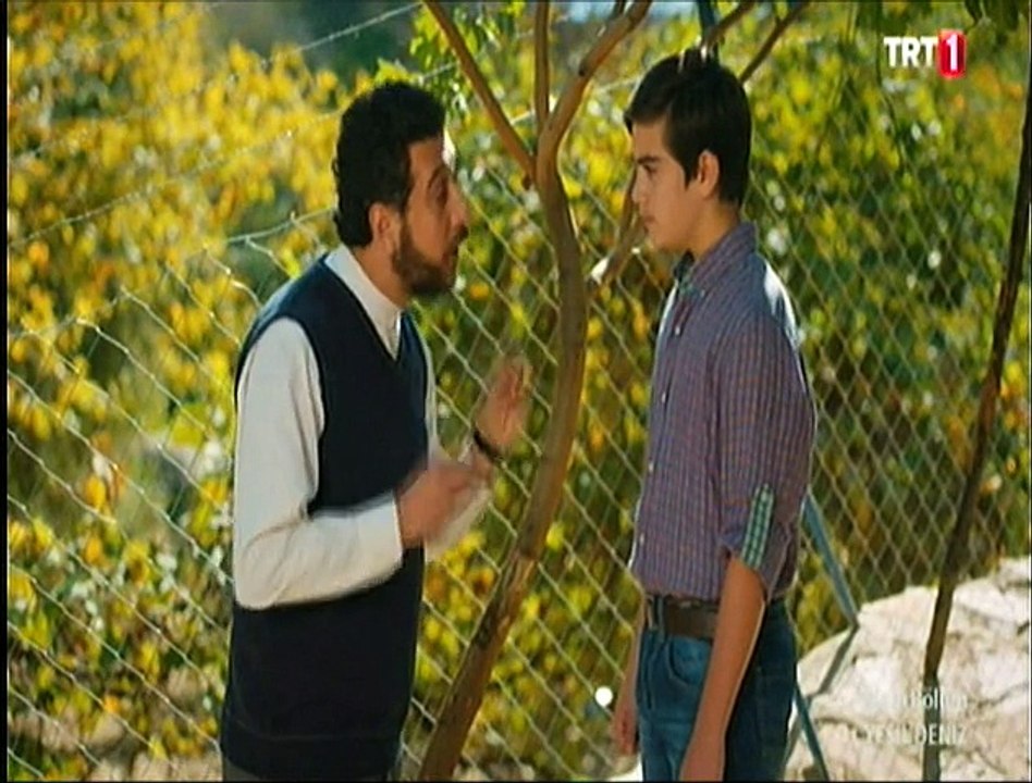 trt 5