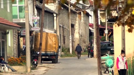 NE FOKUS-TEARCA NE ZVICER