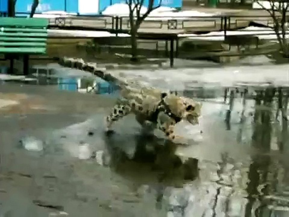 The funniest shit ever! From the guys who made family guy