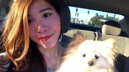 Cute puppies ...so cute