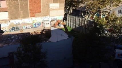 Удачный момент запечатлен камерой