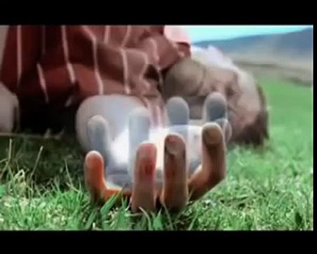 Выжил пристегнувшийся!